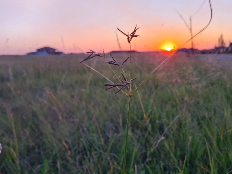 0 Bedroom Property for Sale in Grimbeeck Park North West